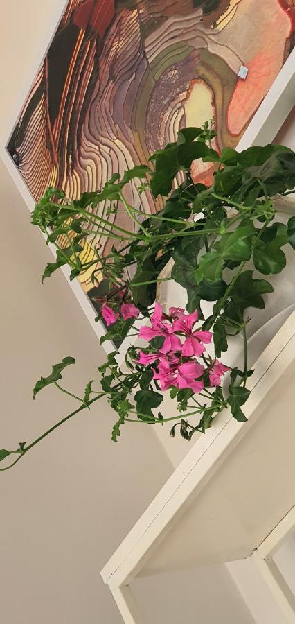 De Studio Homestay Ανόι Εξωτερικό φωτογραφία