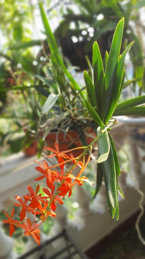 De Studio Homestay Ανόι Εξωτερικό φωτογραφία